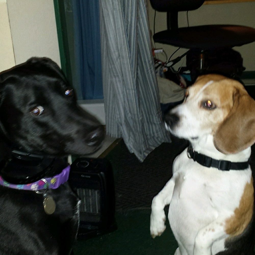 Meet your Posher, Terry